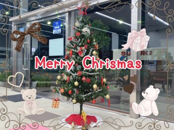 ☆クリスマスツリーを出しました☆